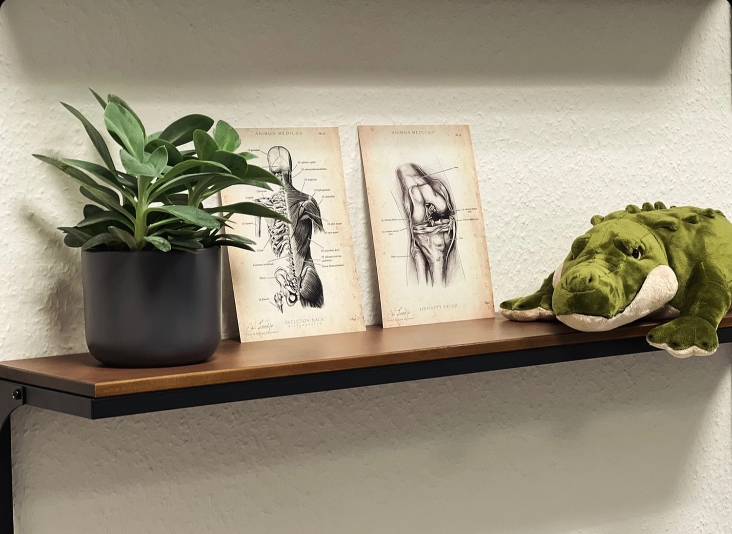Hängerahmen der Körpermanufaktur in einem Übungsraum
